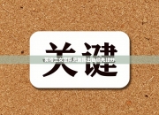 英格兰女足队员发挥出色领先比分