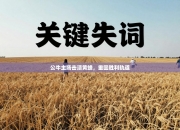 公牛主场击溃黄蜂，重回胜利轨道