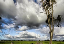 TA：比利亚雷亚尔已正式签下枪手旧将托马斯，双方签约1+1年，比利亚与托雷斯谁更强