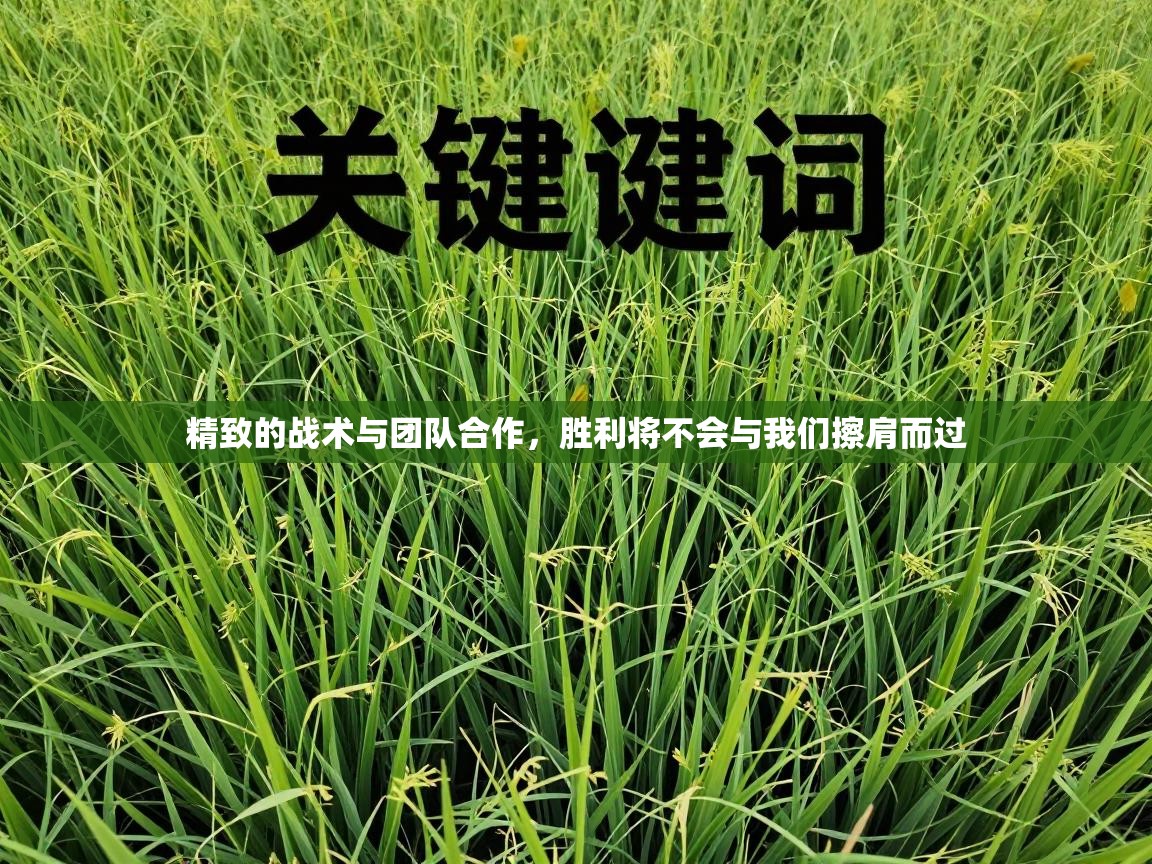 精致的战术与团队合作，胜利将不会与我们擦肩而过  第2张