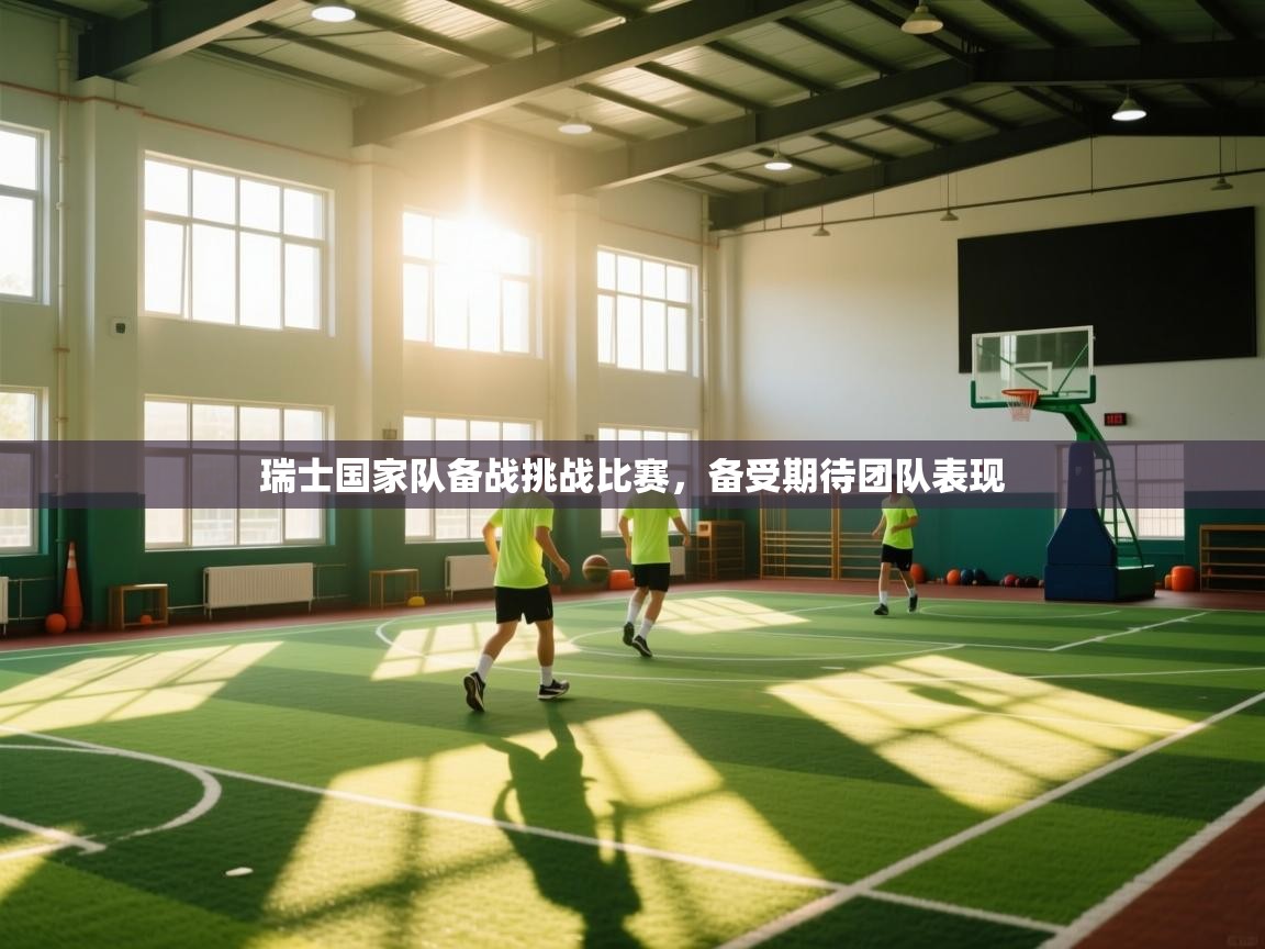 瑞士国家队备战挑战比赛,备受期待团队表现 第2张