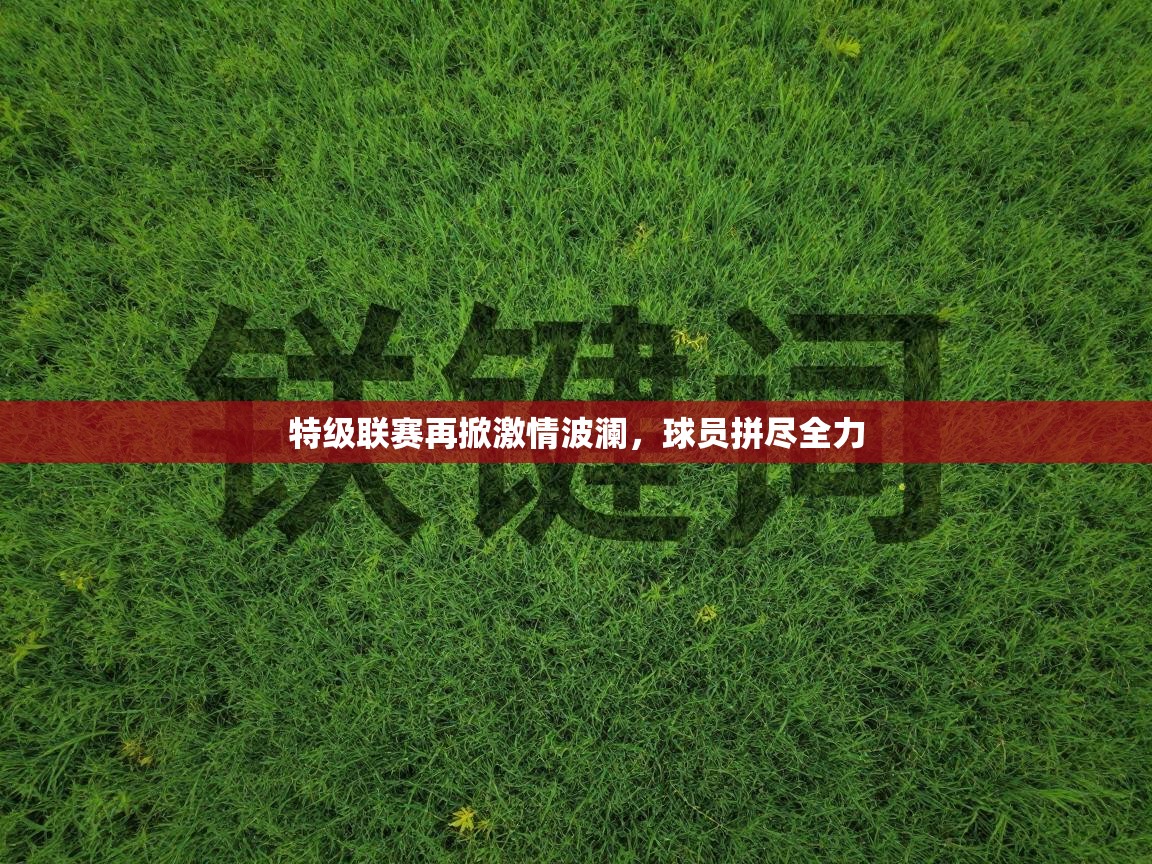 特级联赛再掀激情波澜，球员拼尽全力  第1张